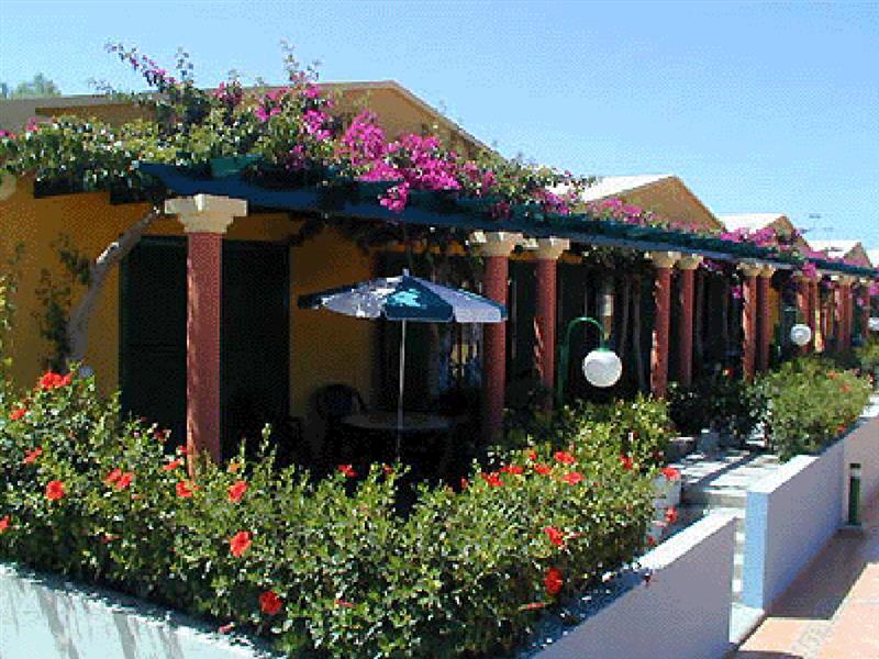 Bungalow En Complejo Tranquilo En Maspalomas Maspalomas  Eksteriør bilde
